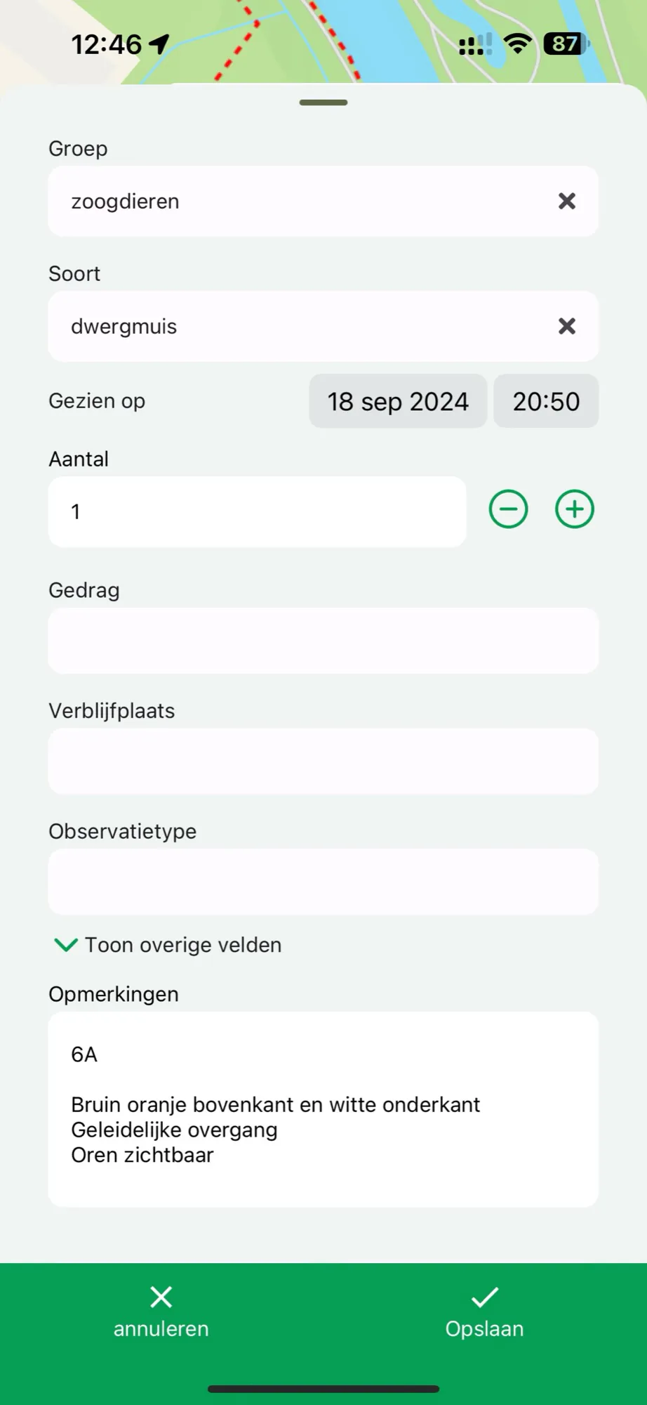 Een waarneming in de app: groep zoogdieren, soort dwergmuis, datum, aantal en opmerkingen over vacht en oren