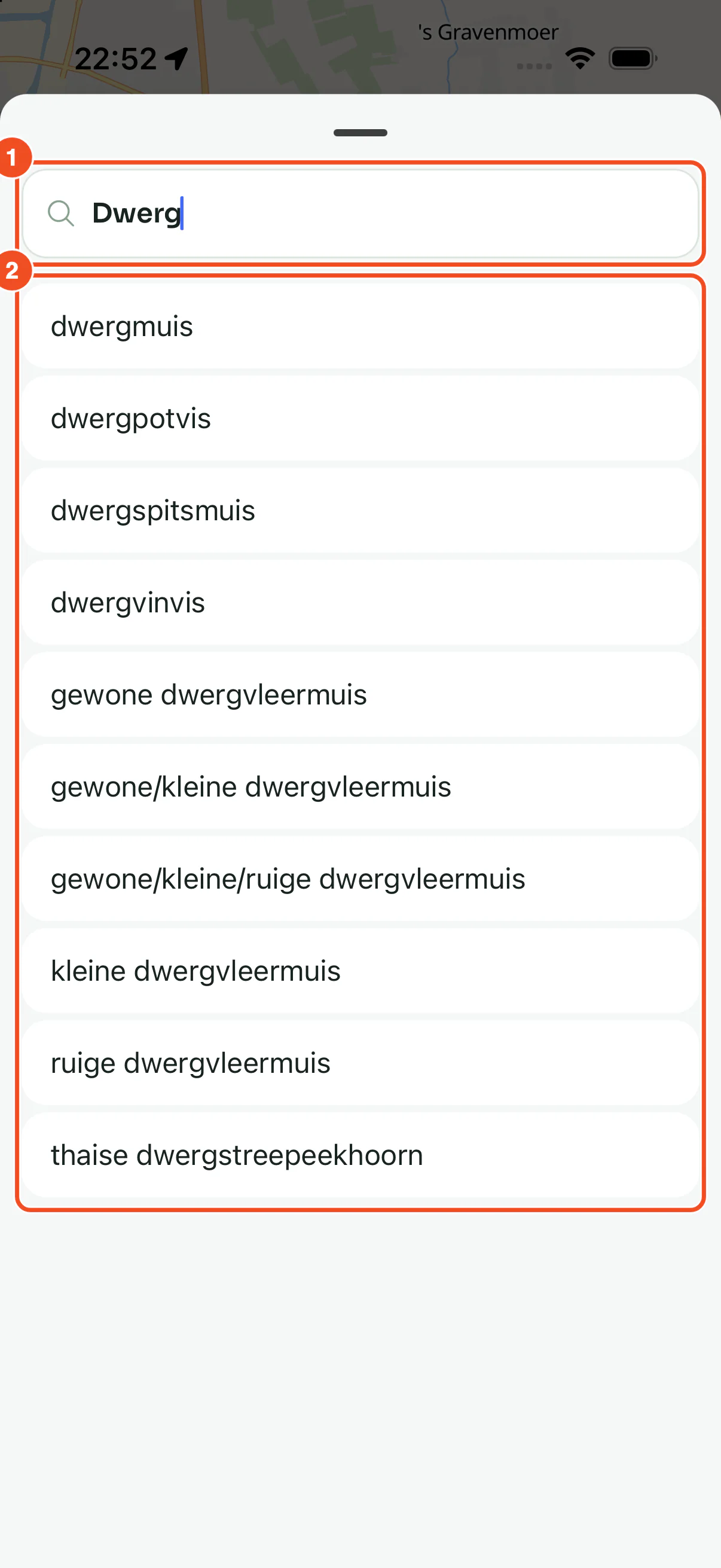 De soortenlijst met de zoekterm Dwerg: dwergmuis, gewone dwergvleermuis, kleine dwergvleermuis, ruige dwergvleermuis en enkele andere