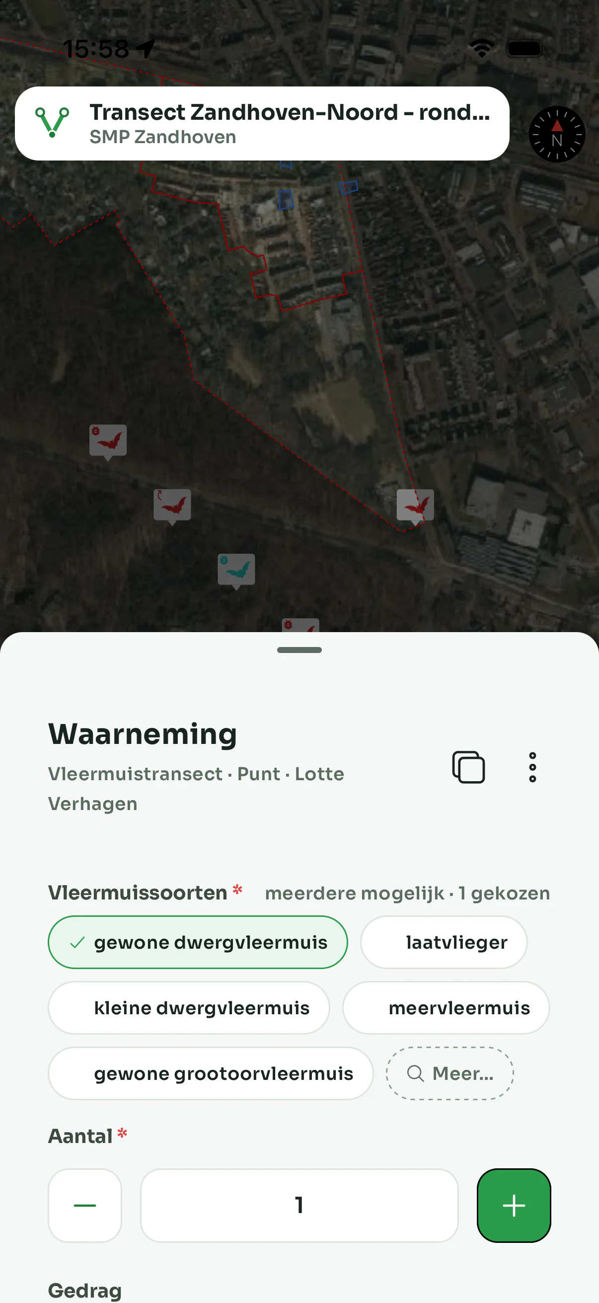 Het waarnemingsformulier over de kaart in de app: het tag-veld Vleermuissoorten met gewone dwergvleermuis gekozen, en de luchtfoto van het transect erboven